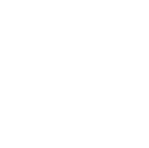 Logotipo de DSS CORREDURA DE SEGUROS, Seguros de coche, moto, hogar, vida, salud, decesos, caza, barcos, mascotas y muchos ms.